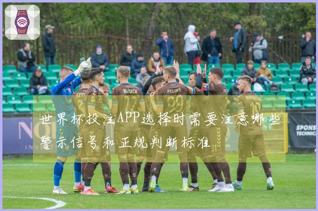 世界杯投注APP选择时需要注意哪些警示信号和正规判断标准