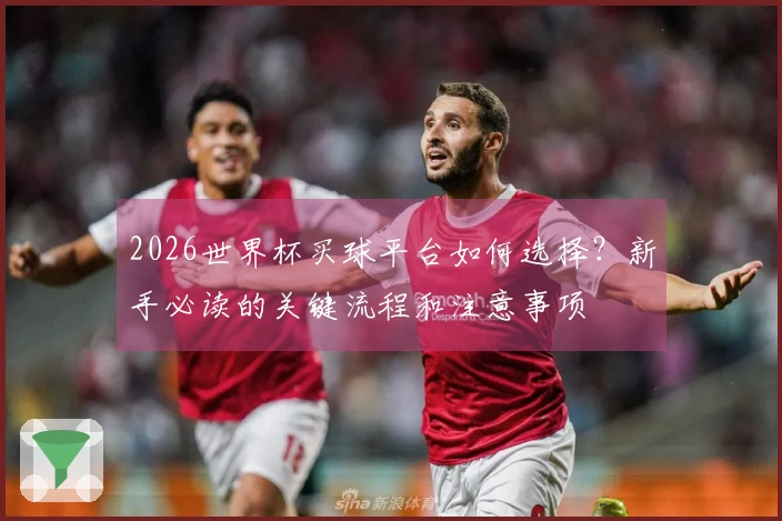 2026世界杯买球平台如何选择？新手必读的关键流程和注意事项