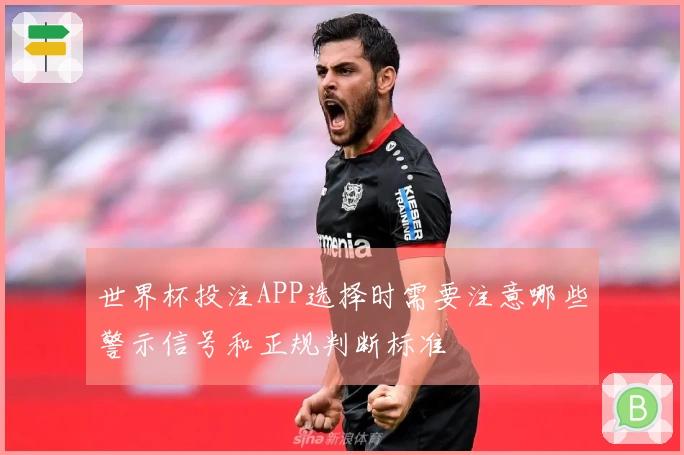 世界杯投注APP选择时需要注意哪些警示信号和正规判断标准