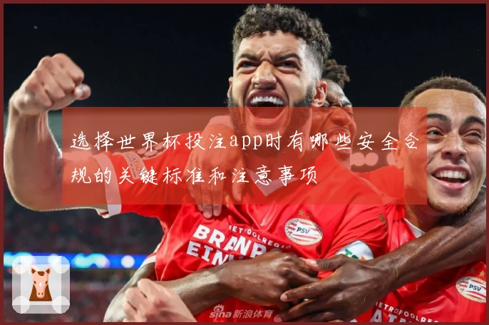 选择世界杯投注app时有哪些安全合规的关键标准和注意事项