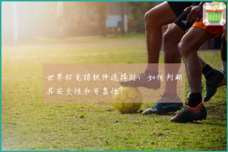 世界杯竞猜软件选择时，如何判断其安全性和可靠性？