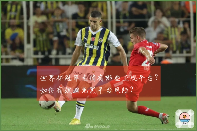 世界杯冠军竞猜有哪些正规平台？如何有效避免黑平台风险？
