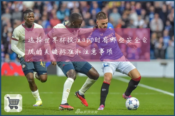 选择世界杯投注app时有哪些安全合规的关键标准和注意事项